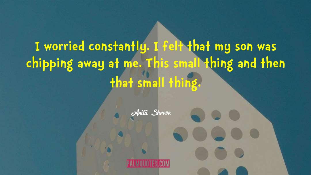 Small Seeds quotes by Anita Shreve