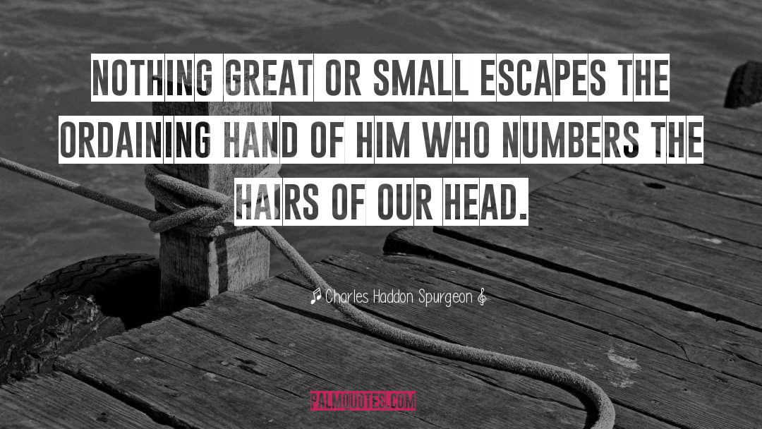 Small Sizes quotes by Charles Haddon Spurgeon