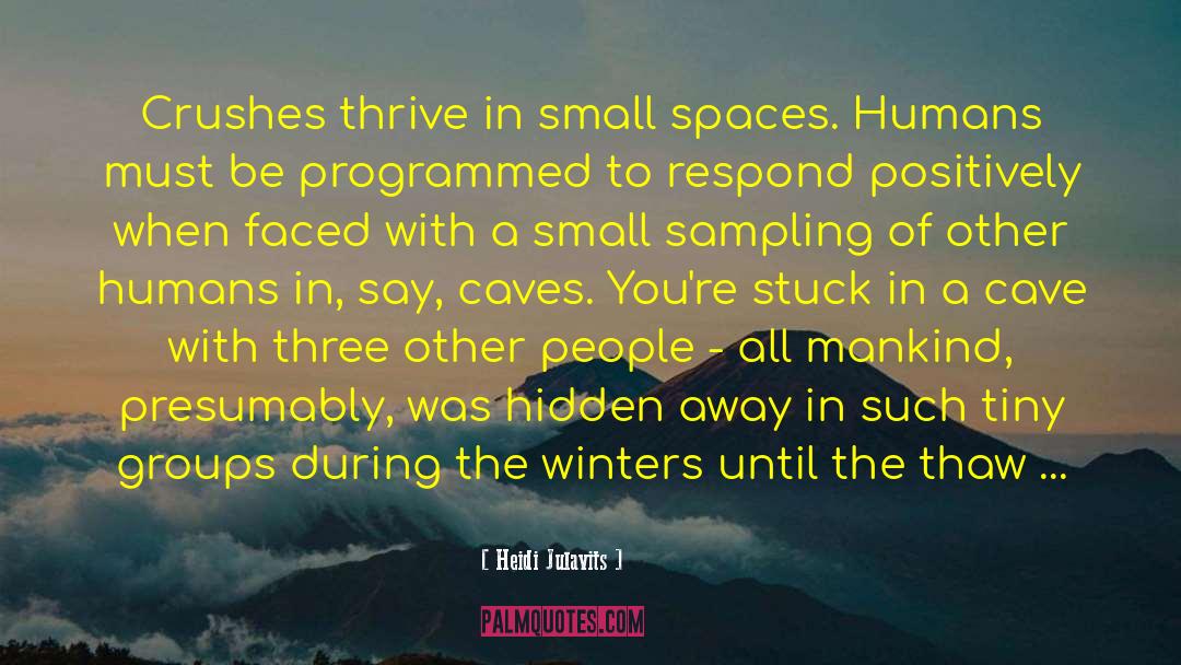 Small Spaces quotes by Heidi Julavits