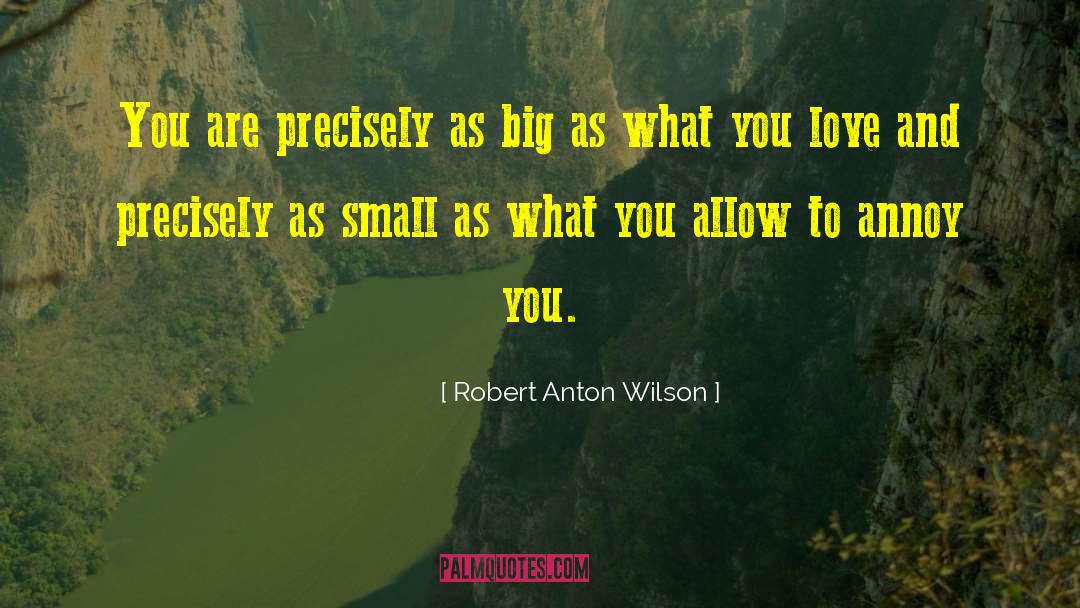 Small Spaces quotes by Robert Anton Wilson