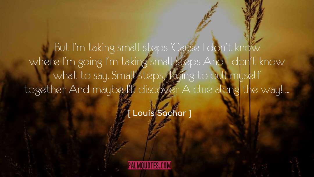 Small Steps quotes by Louis Sachar