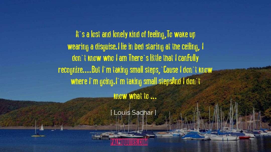 Small Steps quotes by Louis Sachar