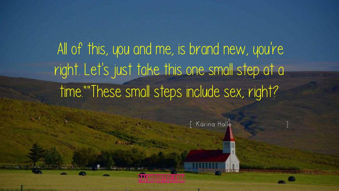 Small Steps quotes by Karina Halle