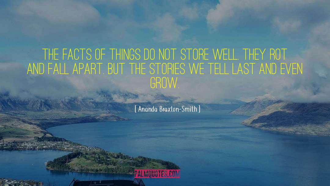 Small Stories quotes by Ananda Braxton-Smith