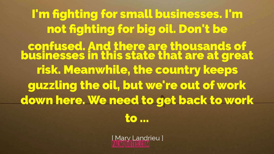 Small Stories quotes by Mary Landrieu
