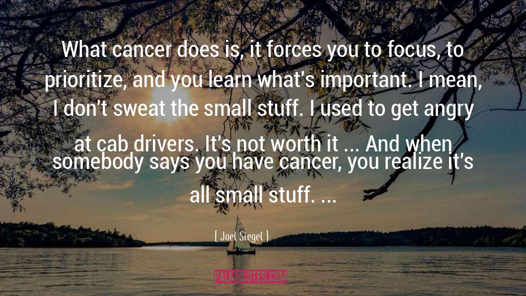 Small Stuff quotes by Joel Siegel