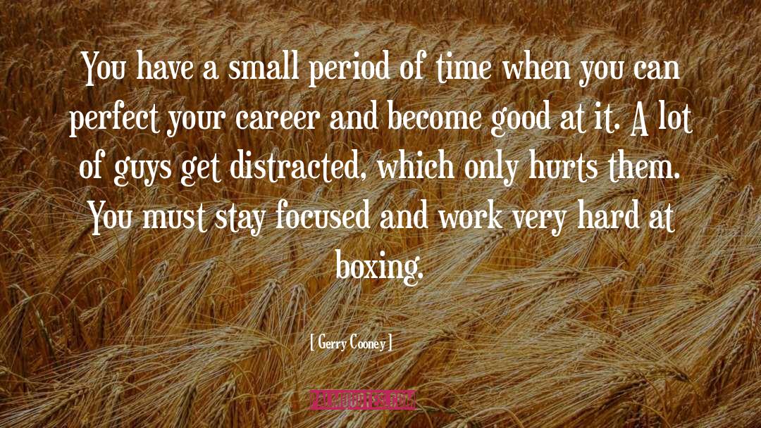 Small Stuff quotes by Gerry Cooney