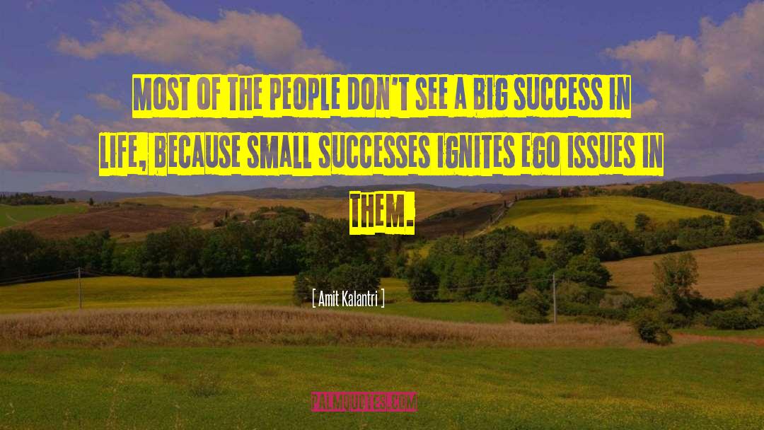 Small Successes quotes by Amit Kalantri