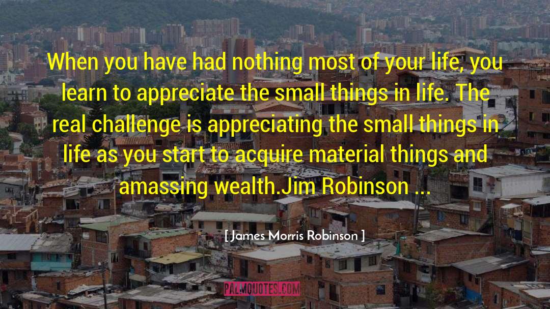 Small Things In Life quotes by James Morris Robinson