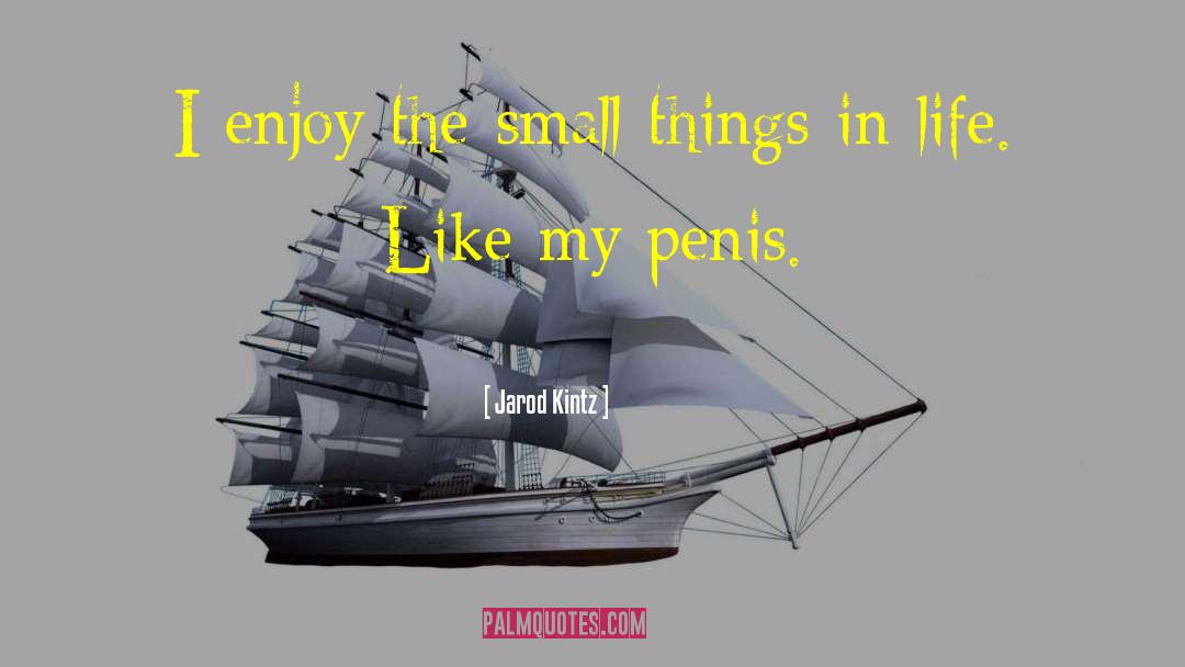 Small Things In Life quotes by Jarod Kintz