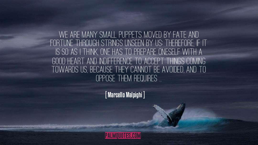 Small Things Matter quotes by Marcello Malpighi