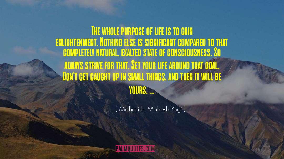 Small Things Matter quotes by Maharishi Mahesh Yogi