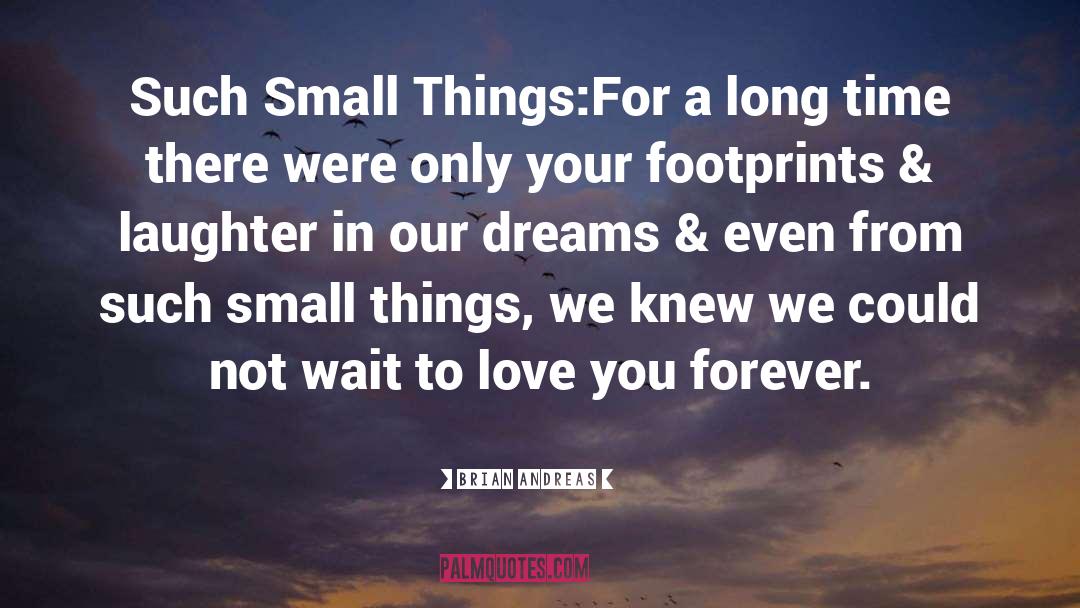 Small Things quotes by Brian Andreas