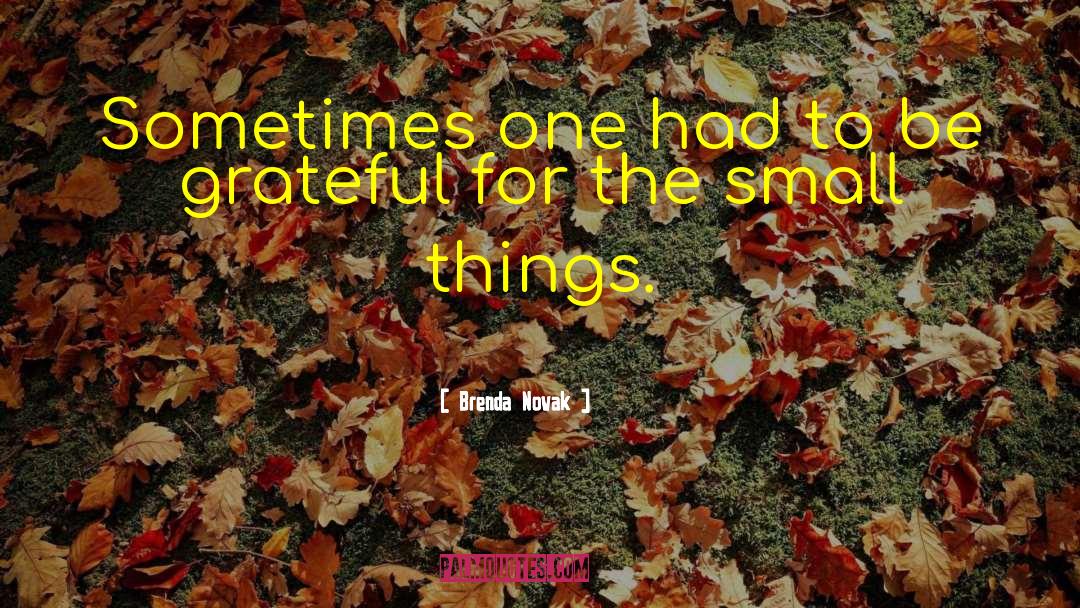 Small Things quotes by Brenda Novak