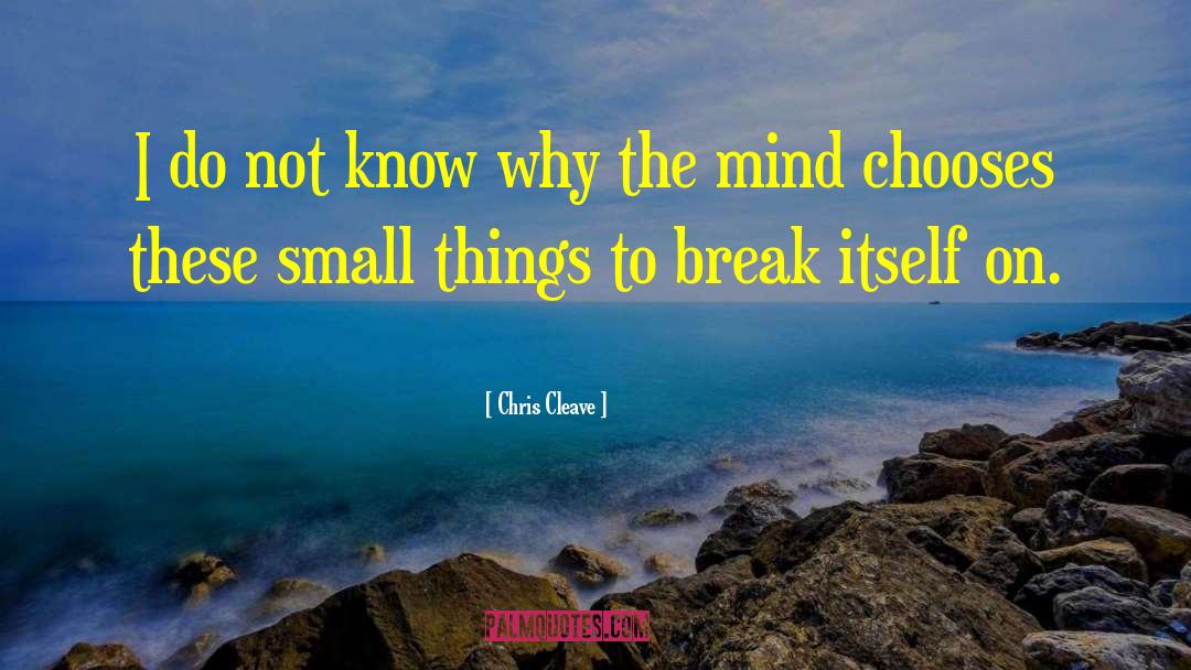 Small Things quotes by Chris Cleave