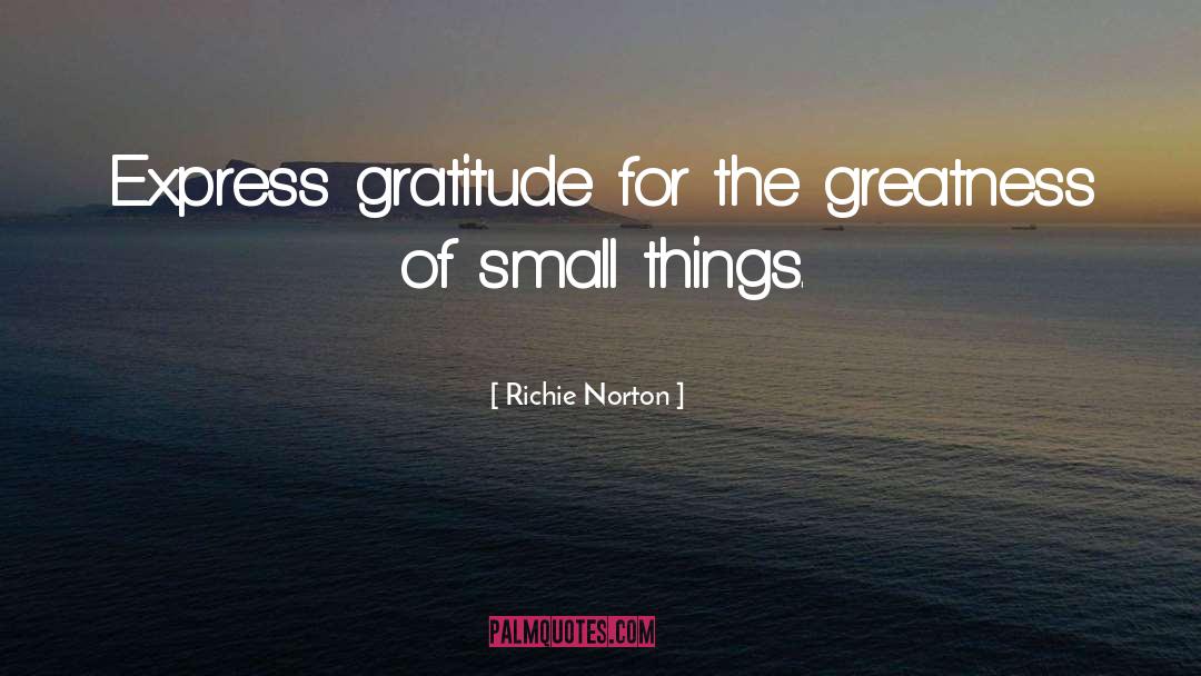 Small Things quotes by Richie Norton