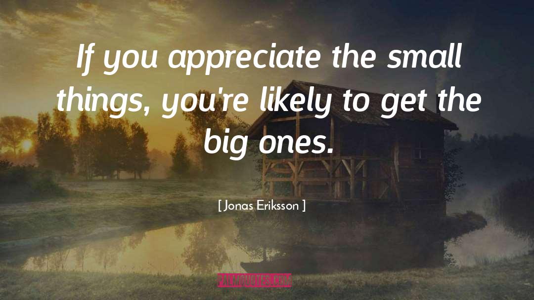 Small Things quotes by Jonas Eriksson