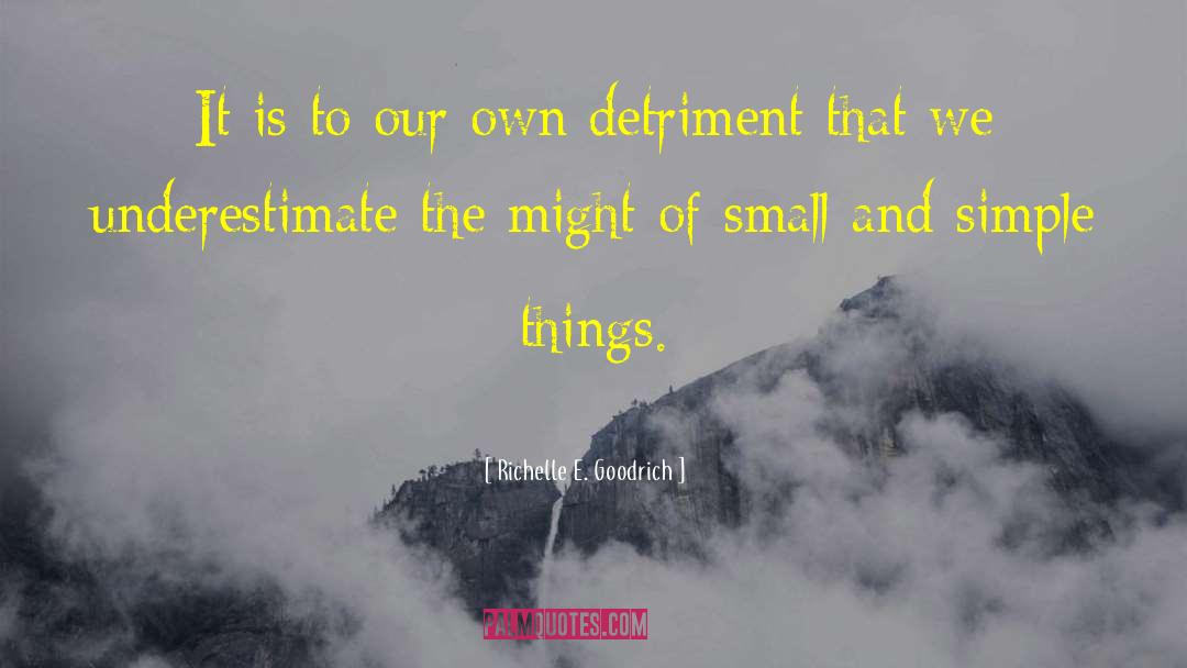 Small Thinkers quotes by Richelle E. Goodrich