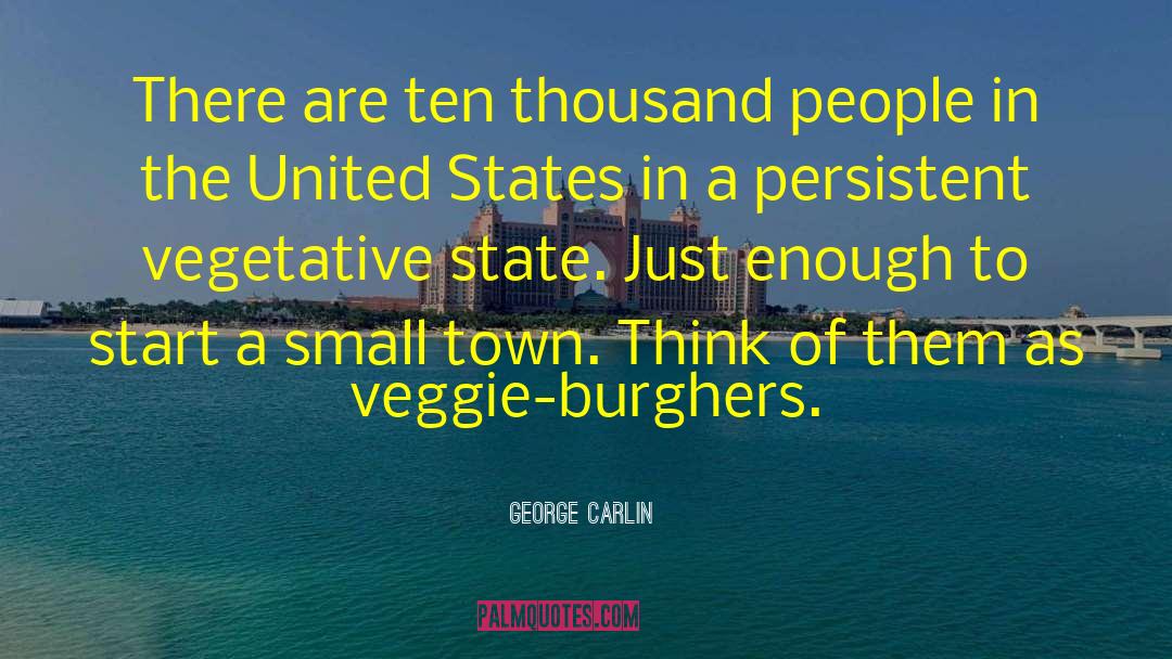 Small Town Life quotes by George Carlin