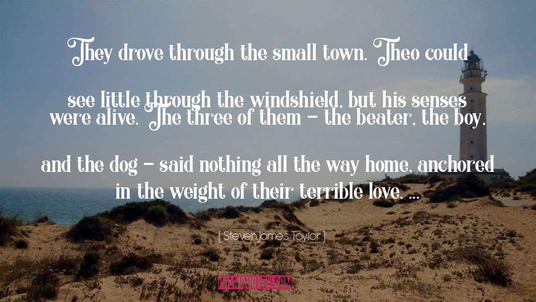 Small Town Mystery quotes by Steven James Taylor