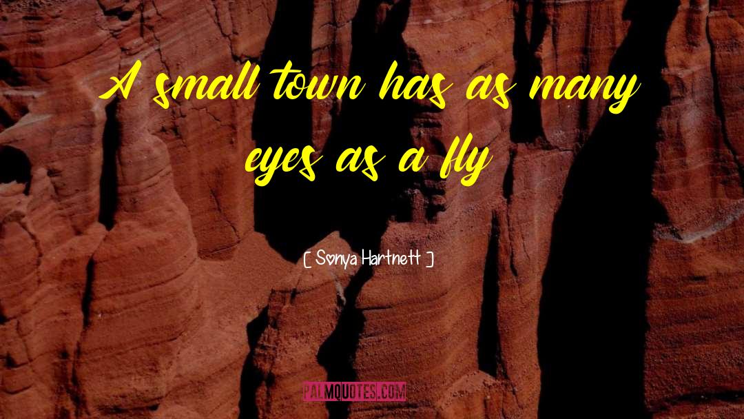 Small Town Reporter quotes by Sonya Hartnett