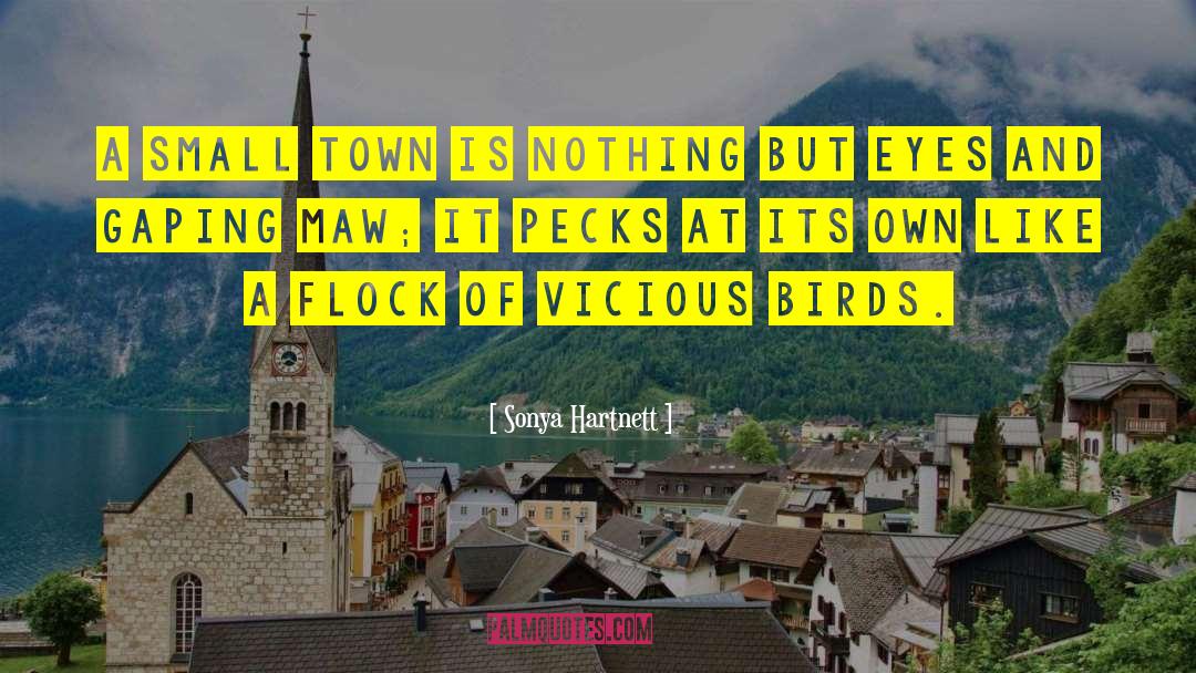 Small Towns quotes by Sonya Hartnett