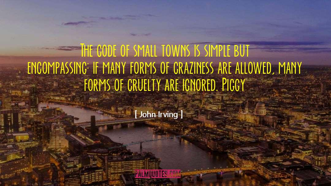 Small Towns quotes by John Irving