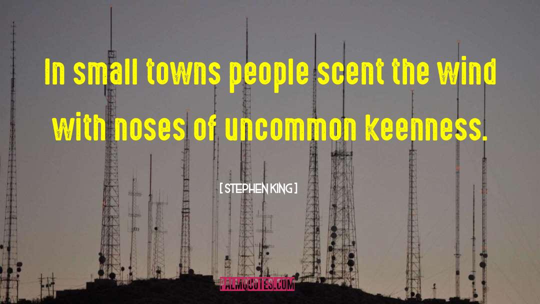 Small Towns quotes by Stephen King
