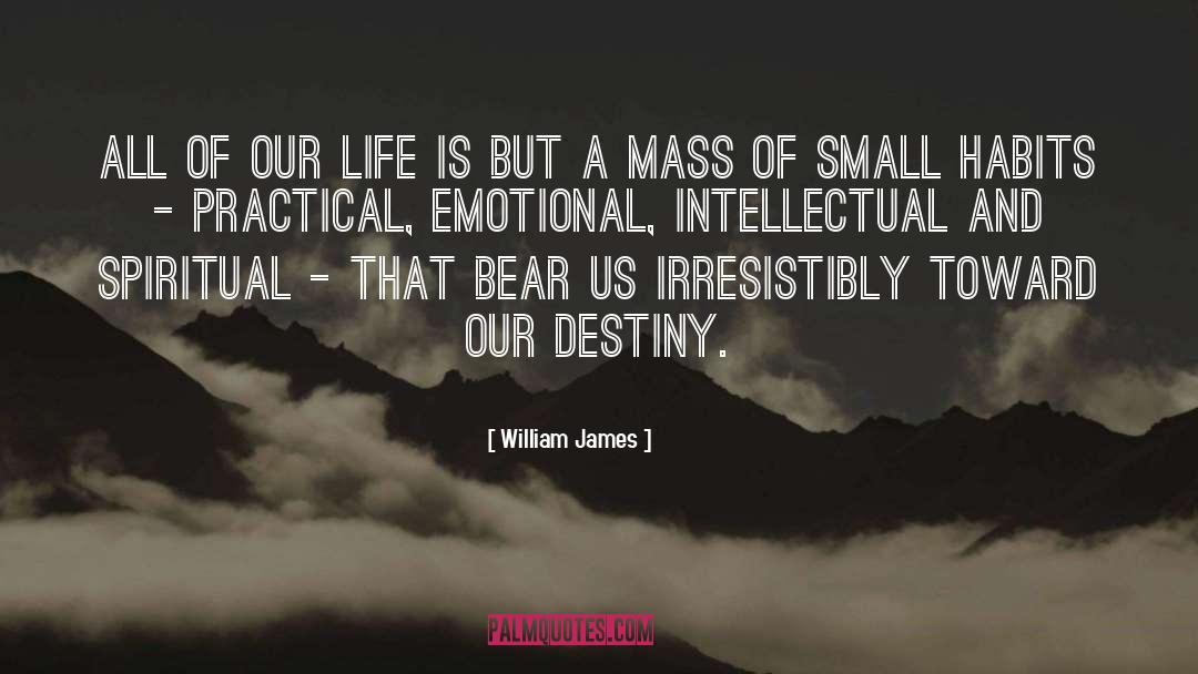 Small Victories quotes by William James