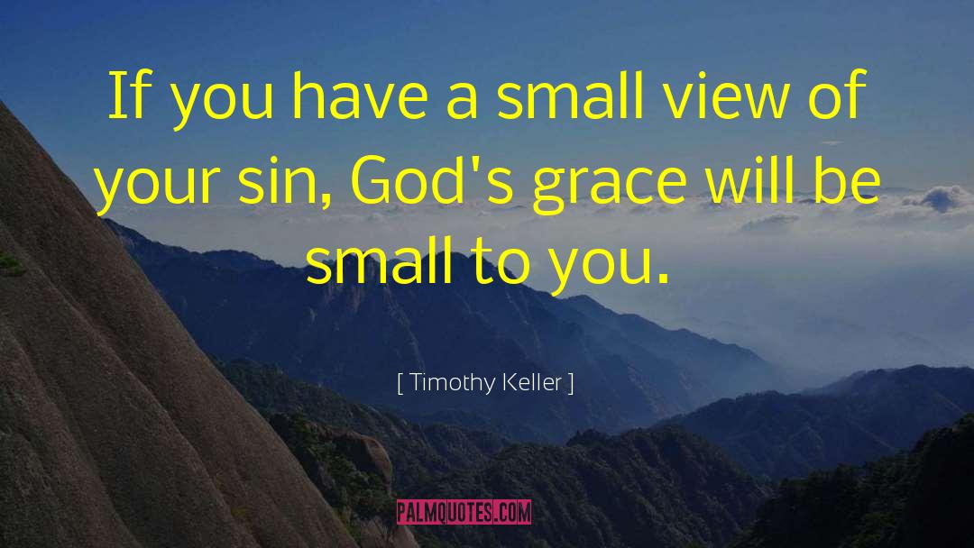 Small Victories quotes by Timothy Keller