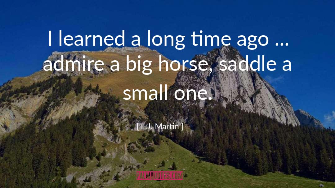 Small Villages quotes by L.J. Martin