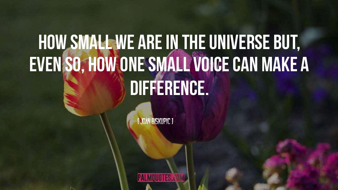 Small Voice quotes by Joan Biskupic