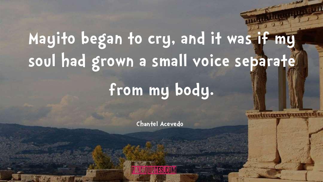 Small Voice quotes by Chantel Acevedo