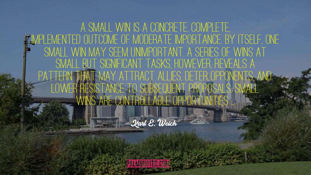 Small Wins quotes by Karl E. Weick