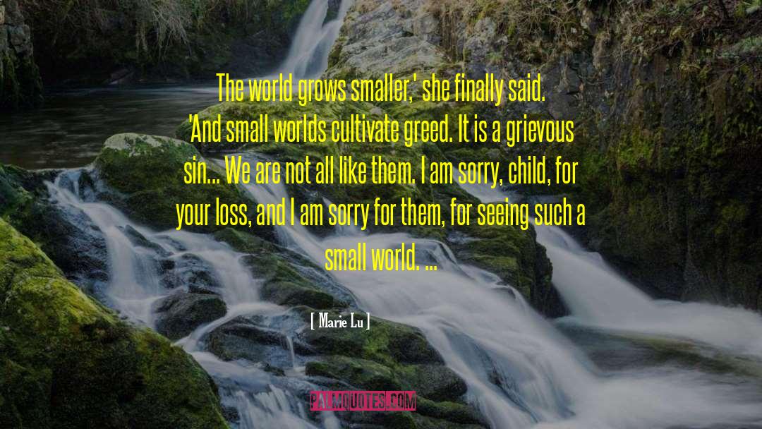 Small World quotes by Marie Lu