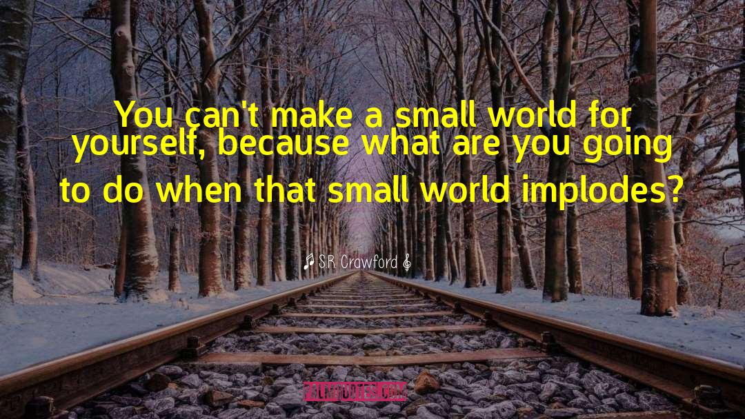 Small World quotes by S.R. Crawford