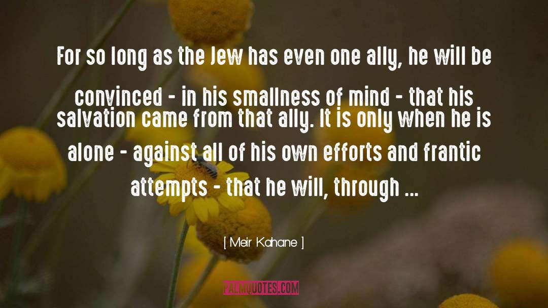 Smallness quotes by Meir Kahane