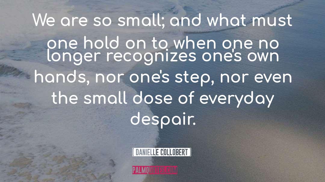 Smallness quotes by Danielle Collobert