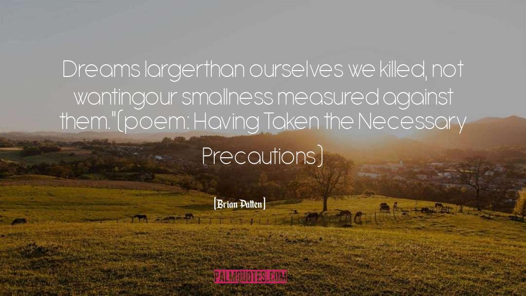 Smallness quotes by Brian Patten