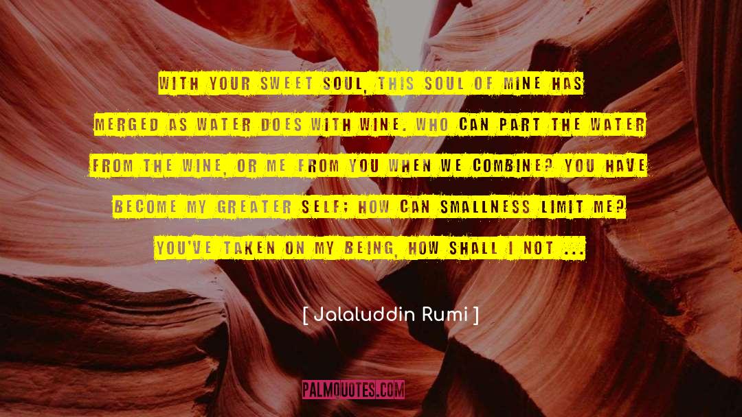 Smallness quotes by Jalaluddin Rumi