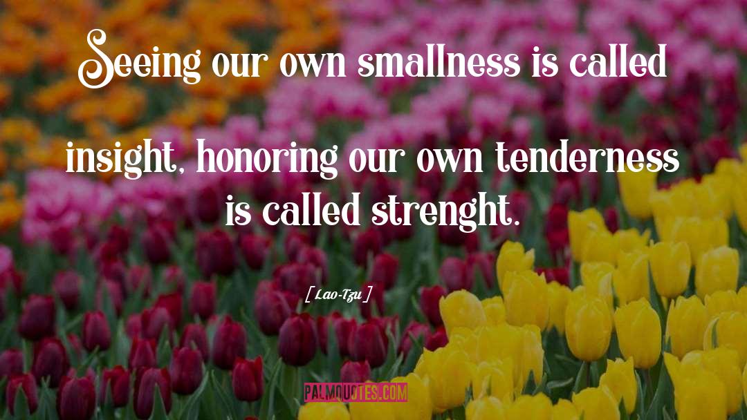 Smallness quotes by Lao-Tzu