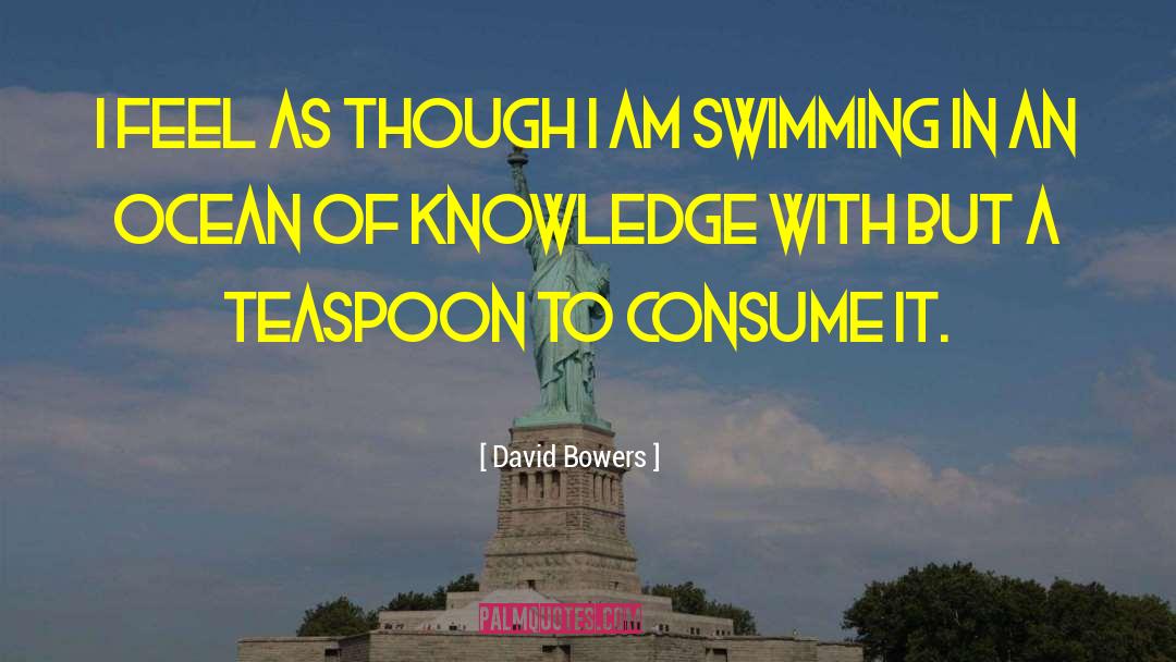 Smallness quotes by David Bowers