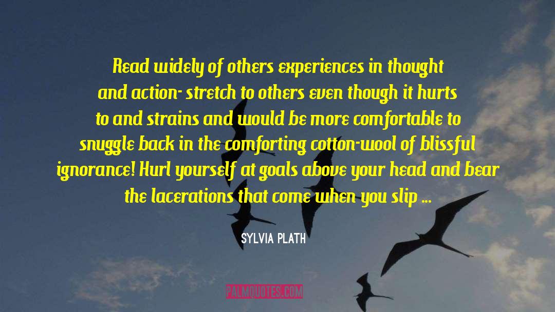 Smart Goals quotes by Sylvia Plath