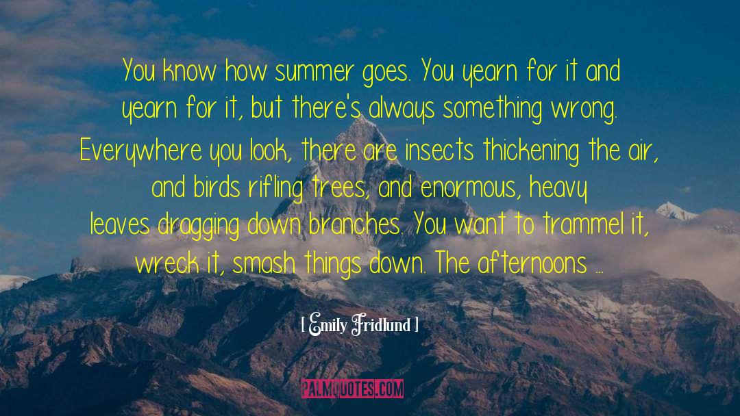 Smash quotes by Emily Fridlund