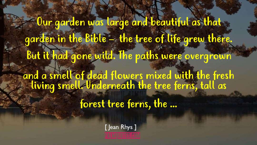 Smell Of Fresh Lilies quotes by Jean Rhys