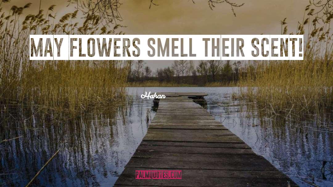 Smell quotes by Hakan