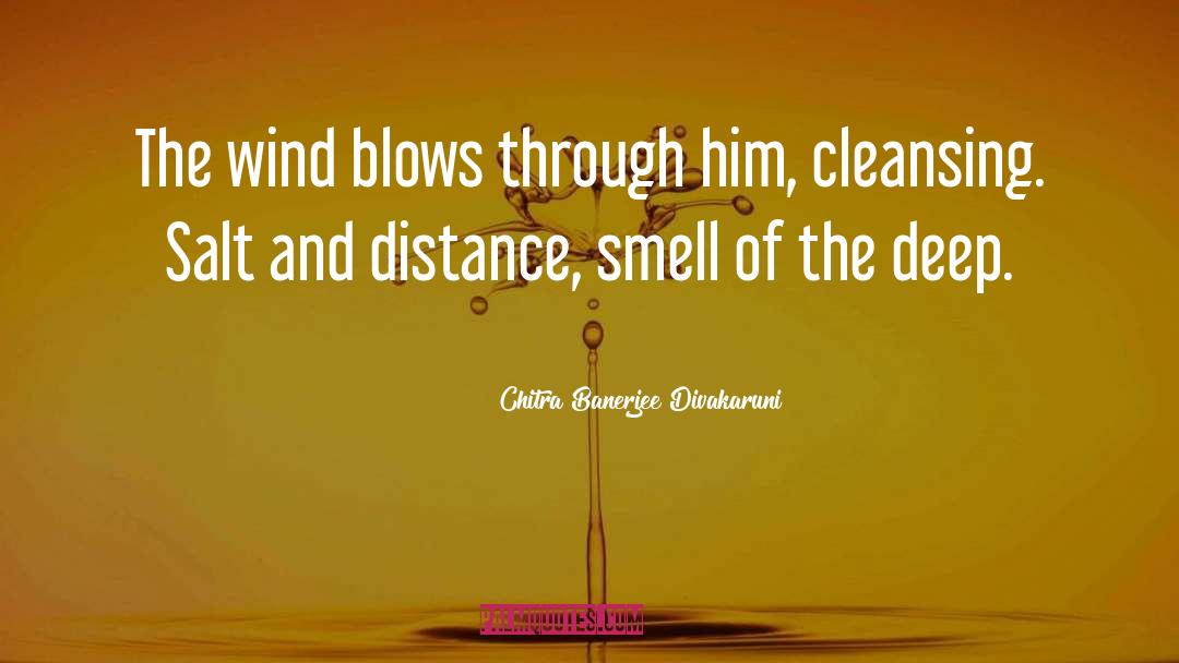 Smell Stink quotes by Chitra Banerjee Divakaruni