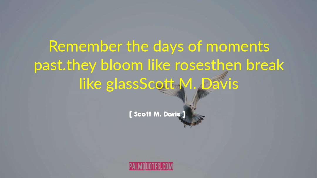 Smell The Roses quotes by Scott M. Davis