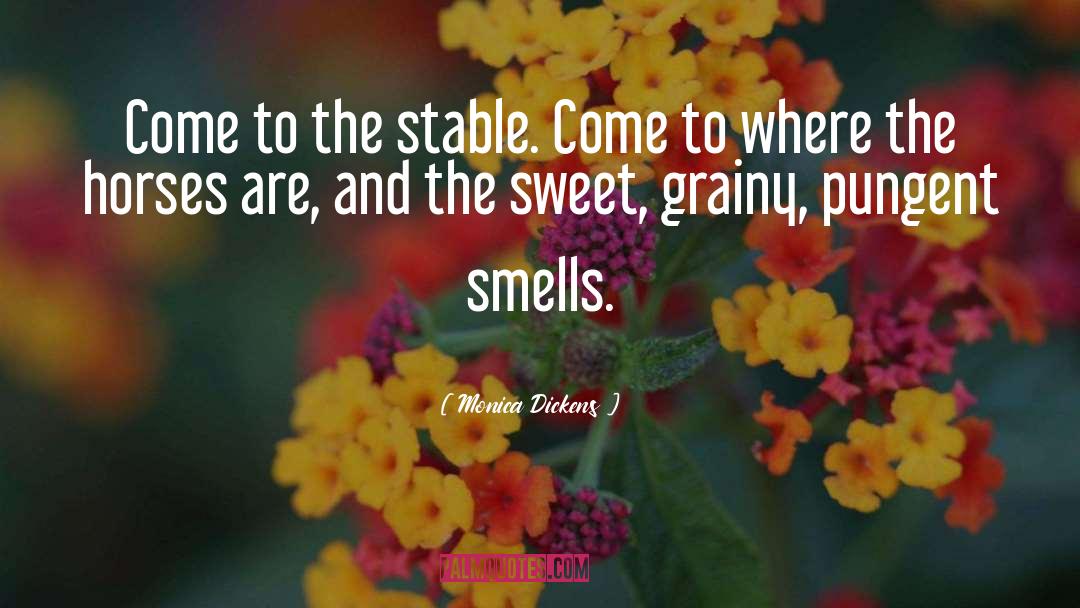 Smells quotes by Monica Dickens