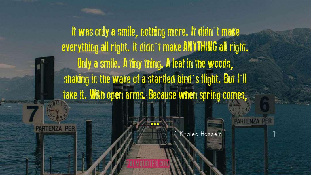 Smile And Laugh quotes by Khaled Hosseini